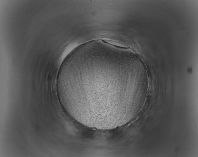 X0000089460099200707061311