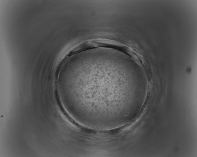 X0000089460101200707061311