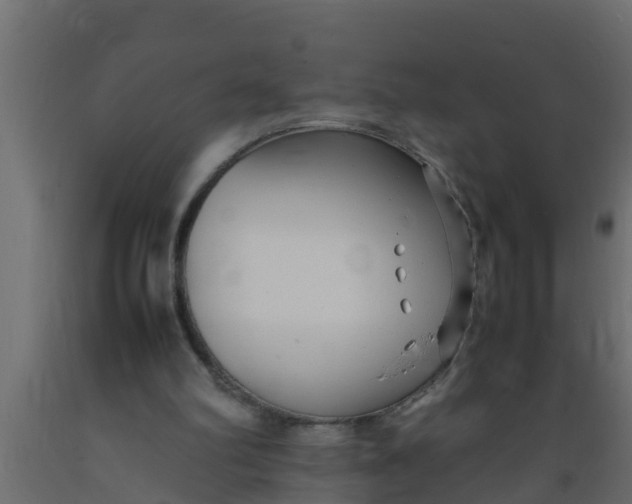 X0000089460102200707061311