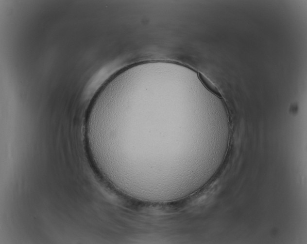 X0000089460103200707061311