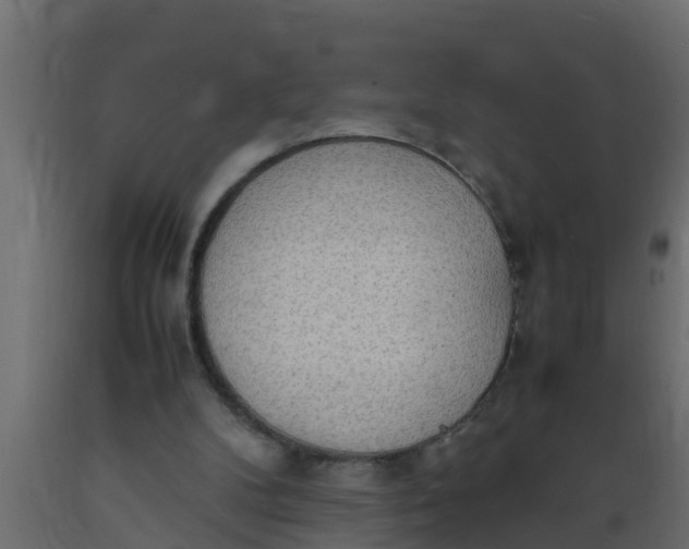 X0000089460104200707061311