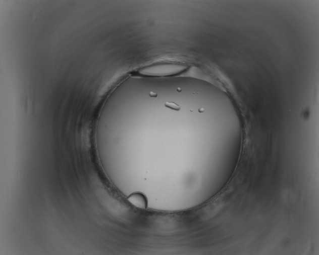 X0000089460106200707061311