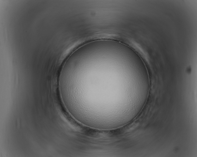 X0000089460107200707061311