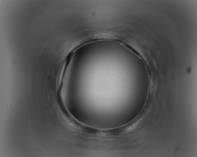 X0000089460109200707061311