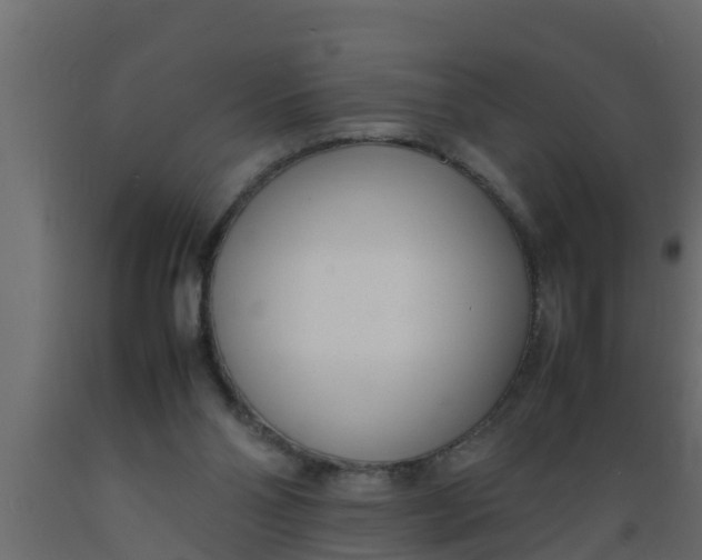 X0000089460110200707061311