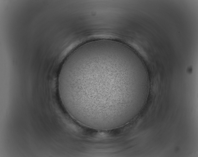 X0000089460111200707061311