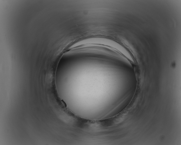 X0000089460113200707061311