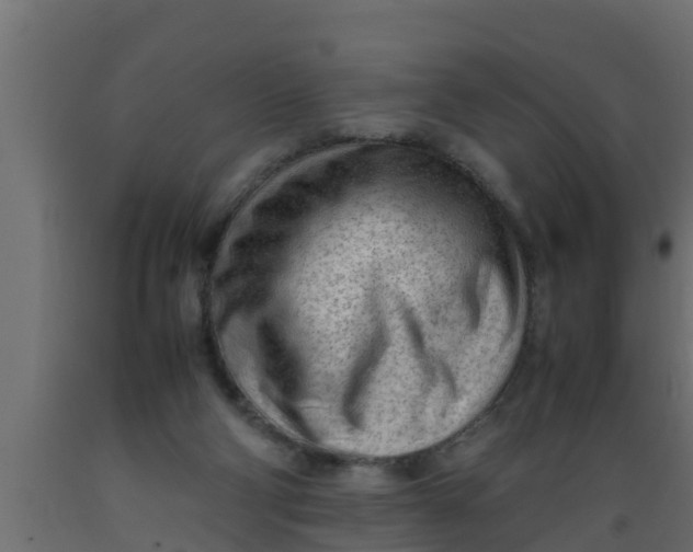 X0000089460114200707061311