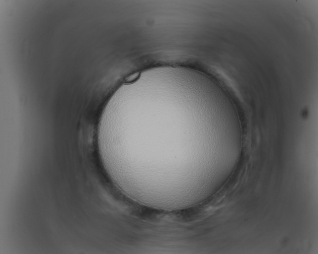 X0000089460115200707061311