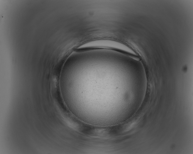 X0000089460117200707061311