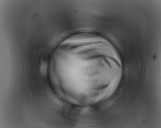 X0000089460118200707061311