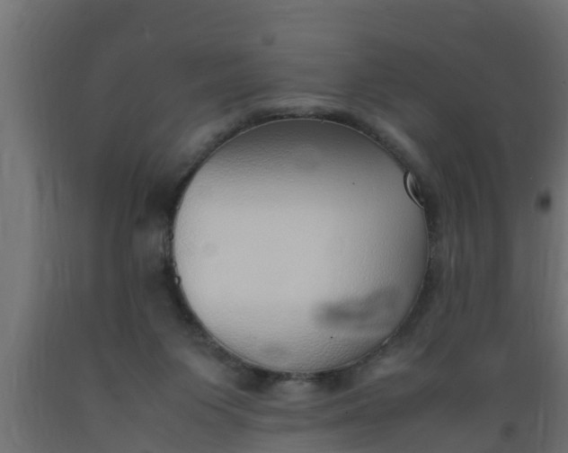 X0000089460119200707061311