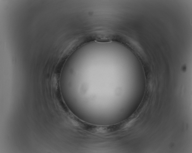 X0000089460121200707061311