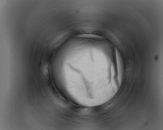X0000089460122200707061311