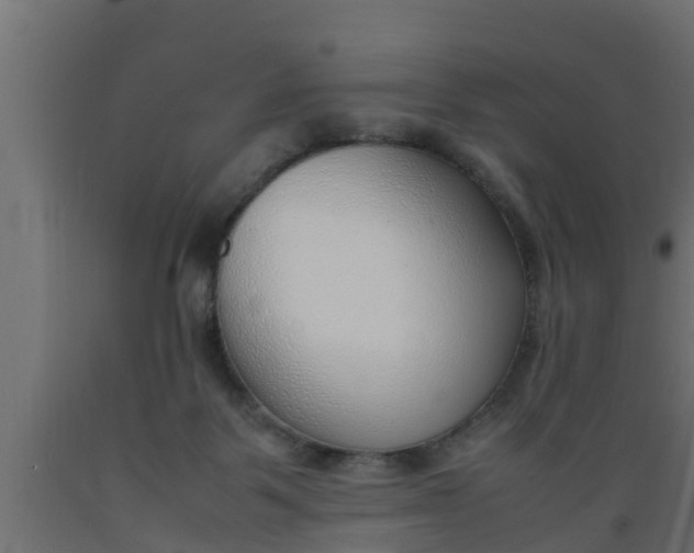 X0000089460123200707061311