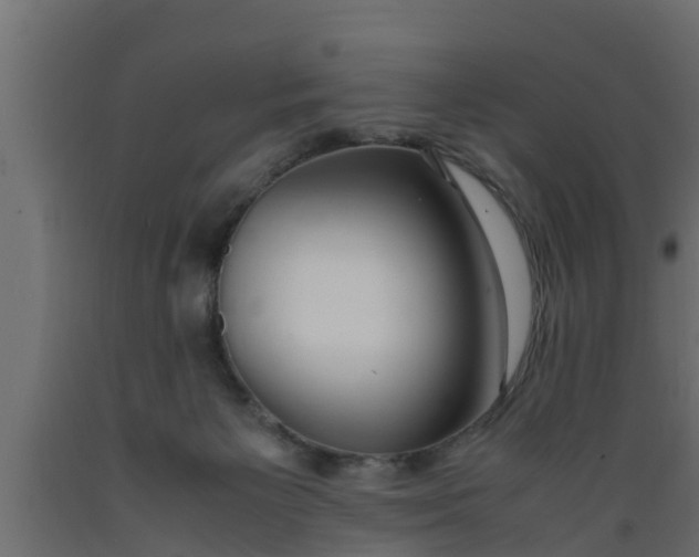 X0000089460125200707061311