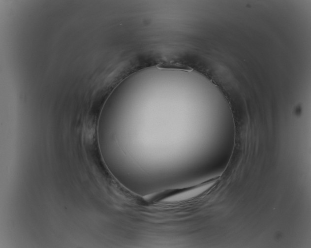 X0000089460129200707061311