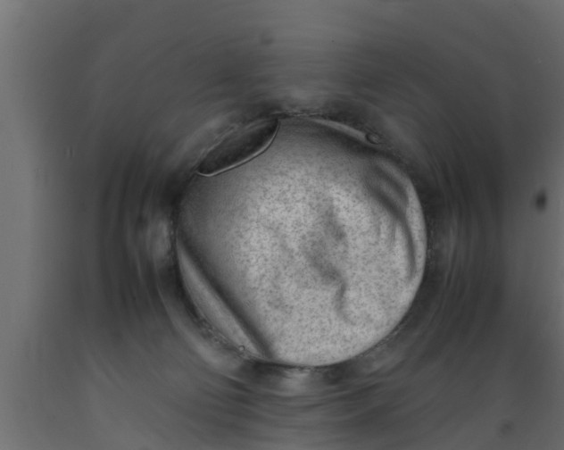 X0000089460130200707061311