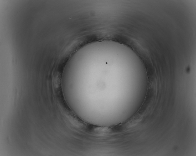 X0000089460133200707061311