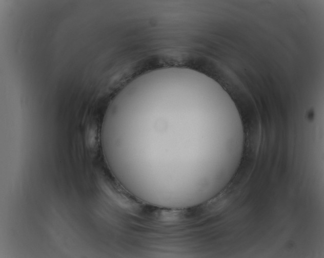 X0000089460134200707061311