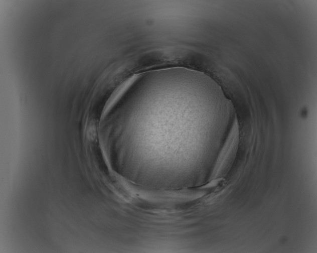 X0000089460137200707061311