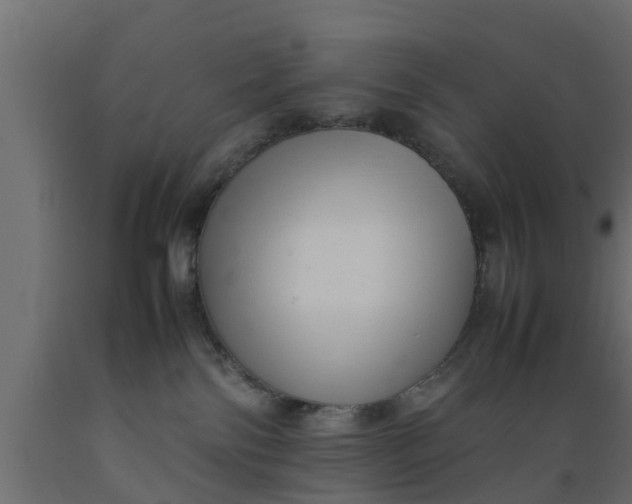 X0000089460138200707061311