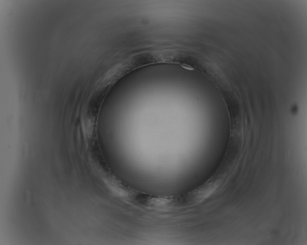 X0000089460139200707061311