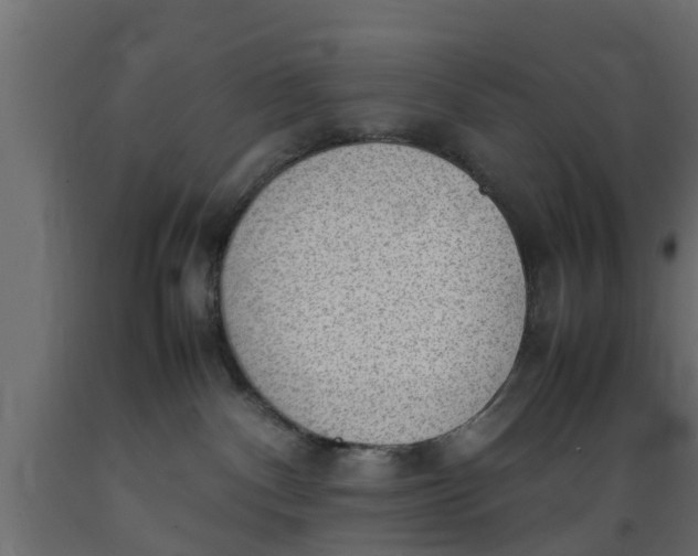 X0000089460140200707061311