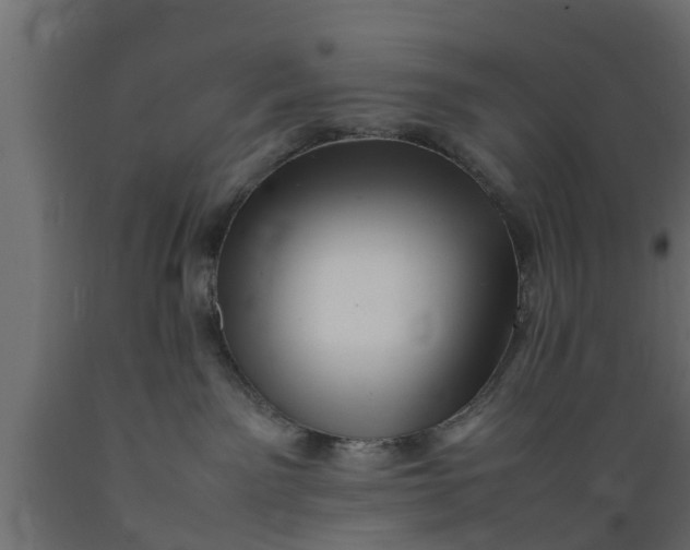 X0000089460141200707061311