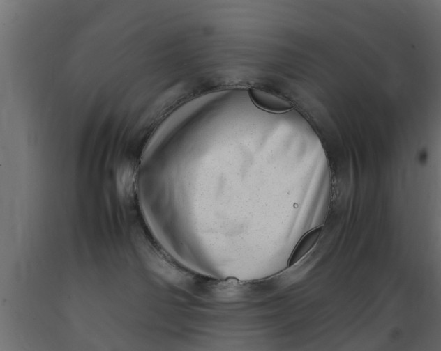 X0000089460142200707061311