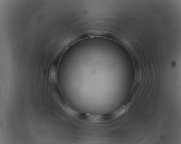 X0000089460143200707061311