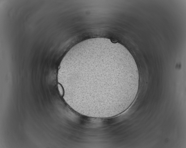 X0000089460144200707061310