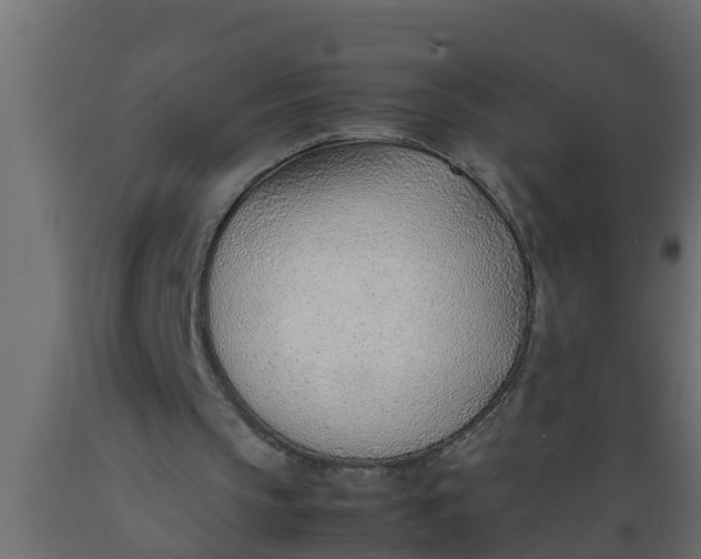 X0000089460145200707061310