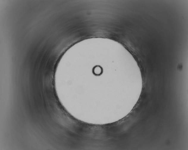X0000089460146200707061310