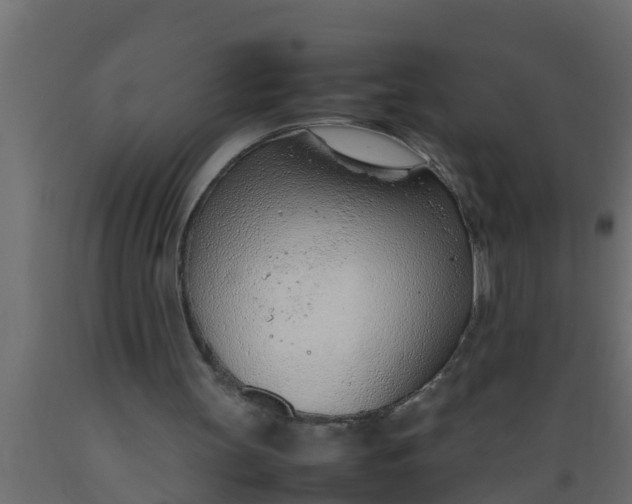 X0000089460147200707061310