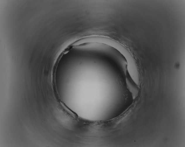 X0000089460148200707061310