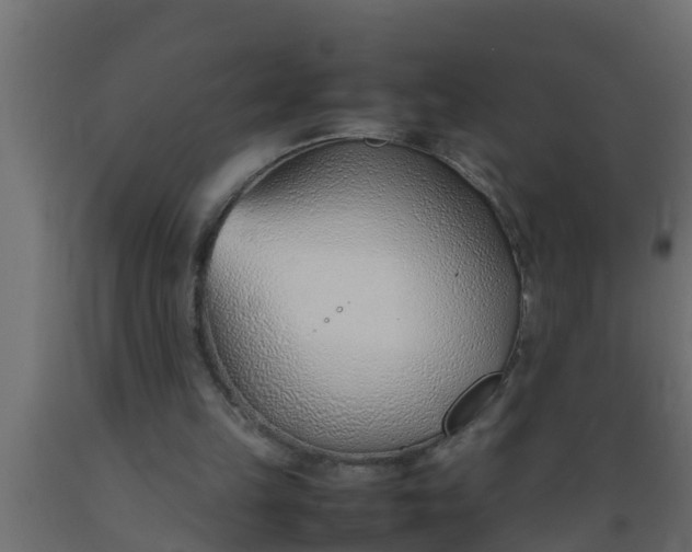 X0000089460149200707061310