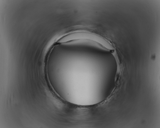 X0000089460150200707061310