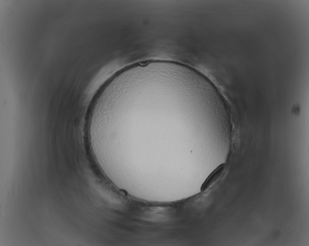 X0000089460151200707061310