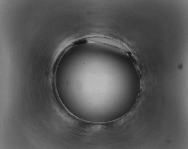 X0000089460152200707061310