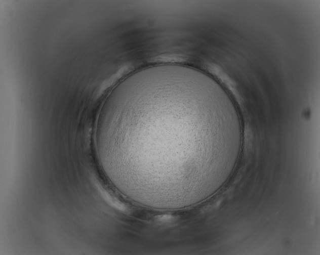 X0000089460153200707061310