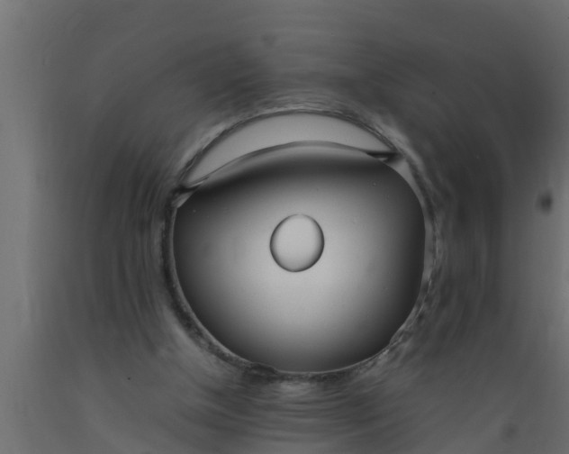 X0000089460154200707061310