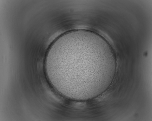 X0000089460155200707061310