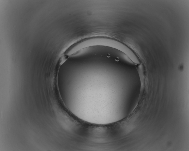 X0000089460156200707061310