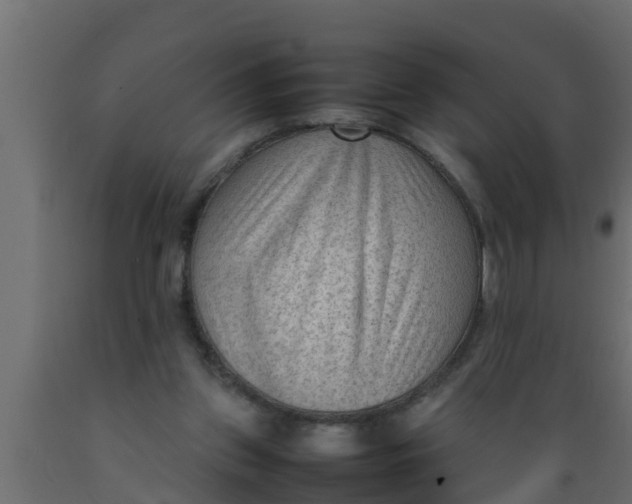 X0000089460157200707061310