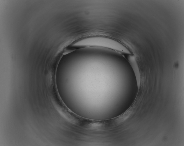 X0000089460158200707061310