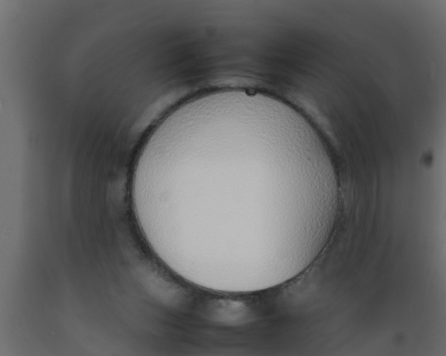 X0000089460159200707061310