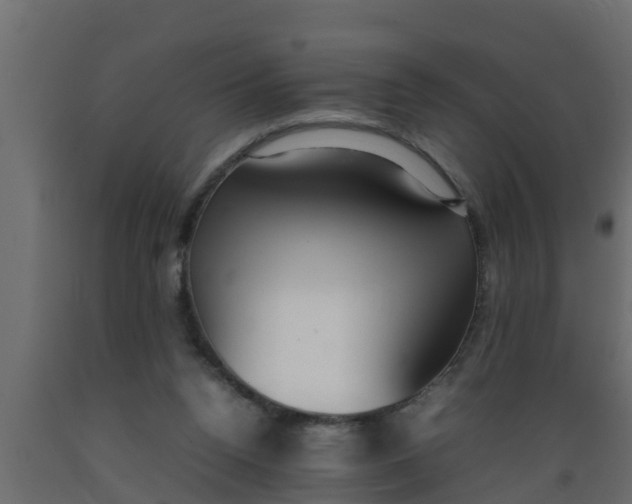 X0000089460160200707061310