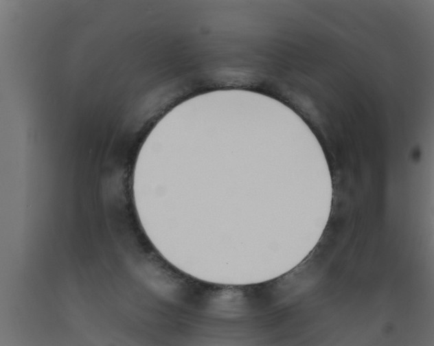 X0000089460162200707061310