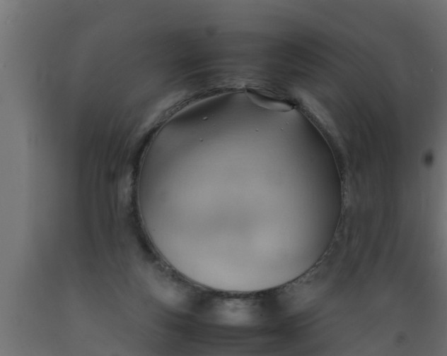 X0000089460163200707061310